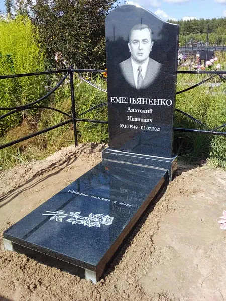 Разное емельяненко