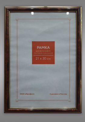 Ф/р пластик 282