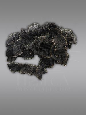 Рюша (100)