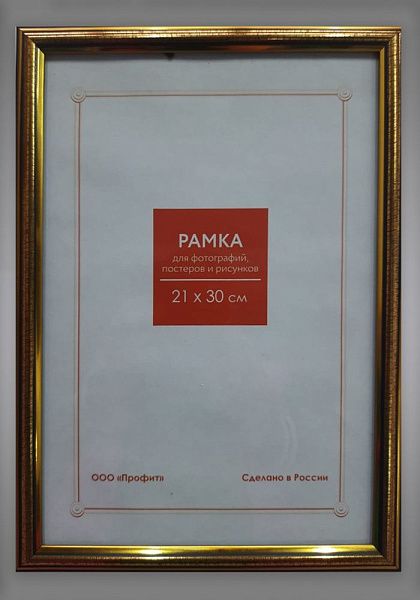 Ф/р пластик 296