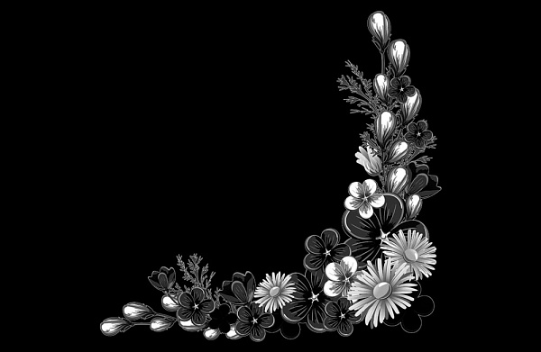 Цветы-16