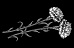 Цветы-20