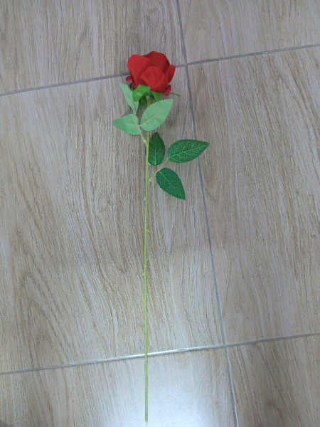Роза одиночка (70)
